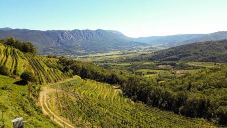 Posestvo Guerila na Planini